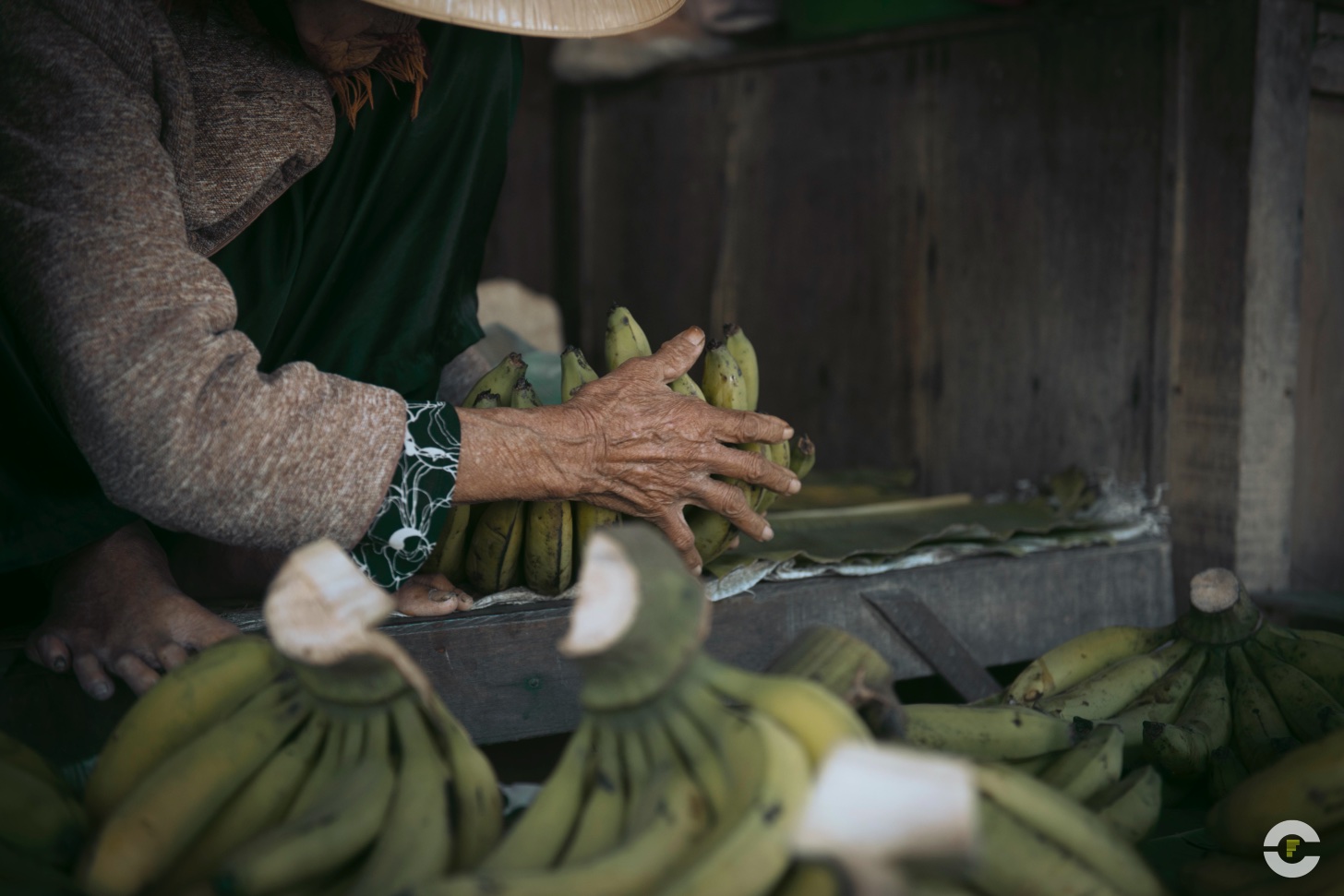 Vietnam / Hoi An / 2014