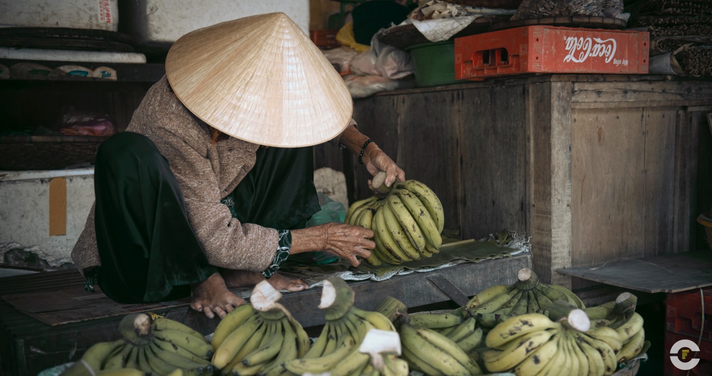 Vietnam / Hoi An / 2014