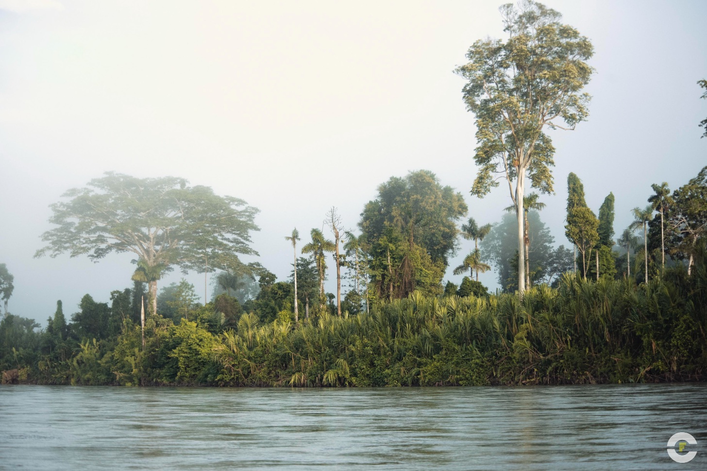 Peru / Amazonas Madre De Dios / 2019