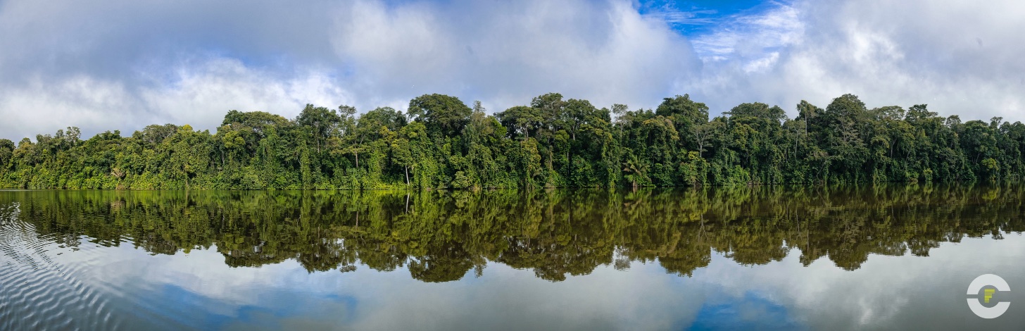 Peru / Amazonas Madre De Dios / 2019