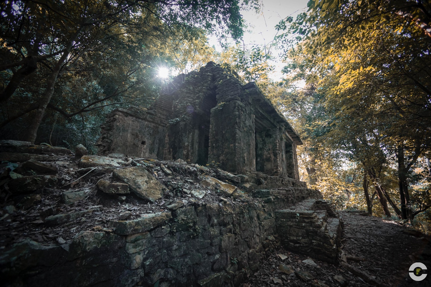 Mexico / Palenque / 2018