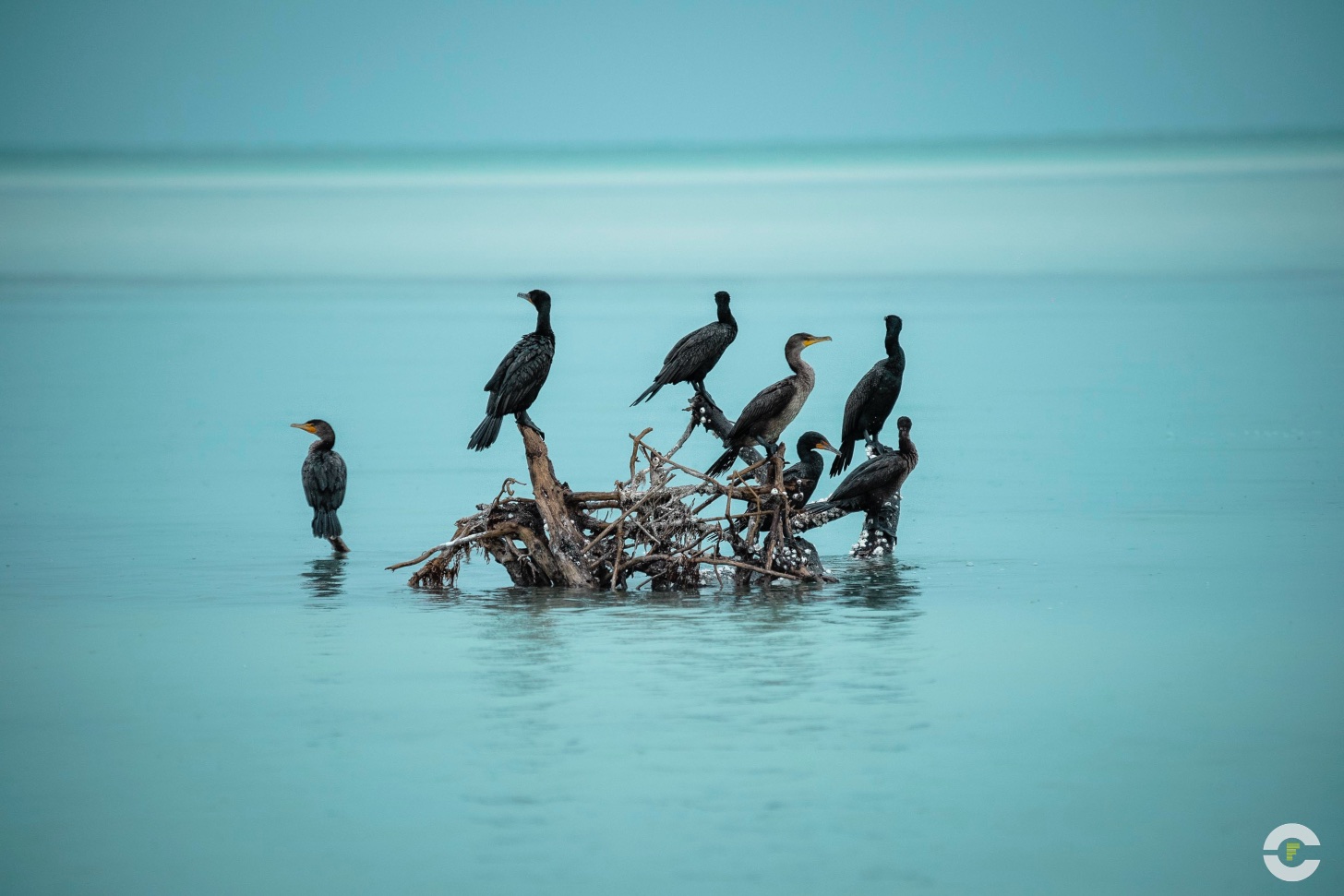 Mexico / Holbox / 2018 