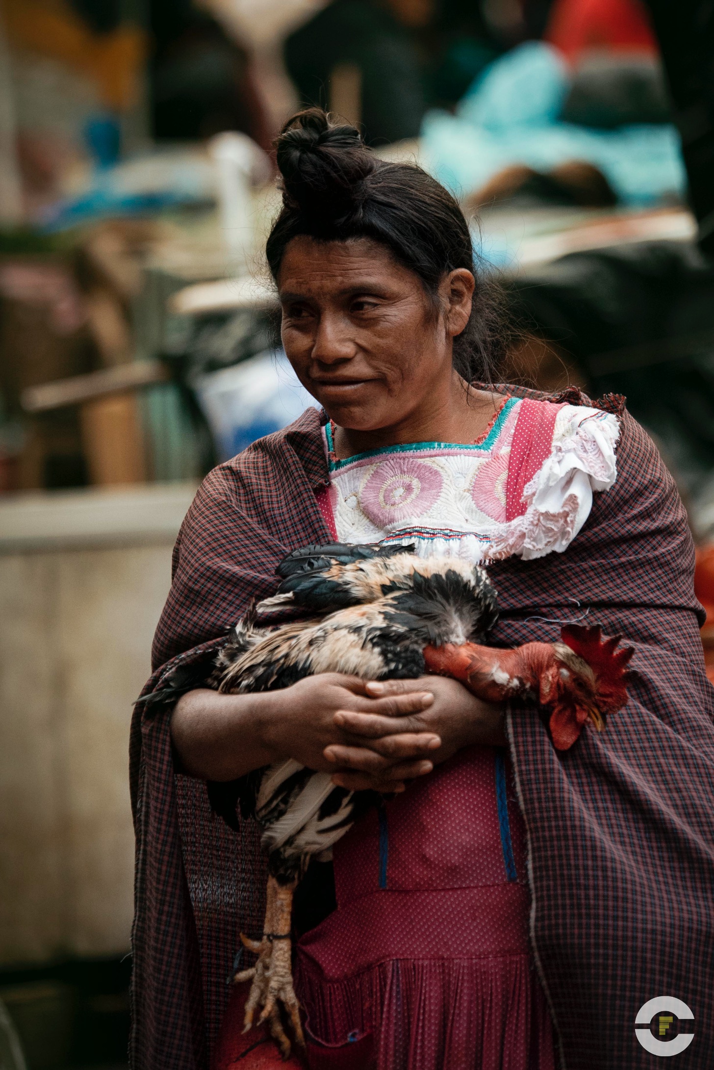 Mexico / San Cristobal de las Casas / 2018