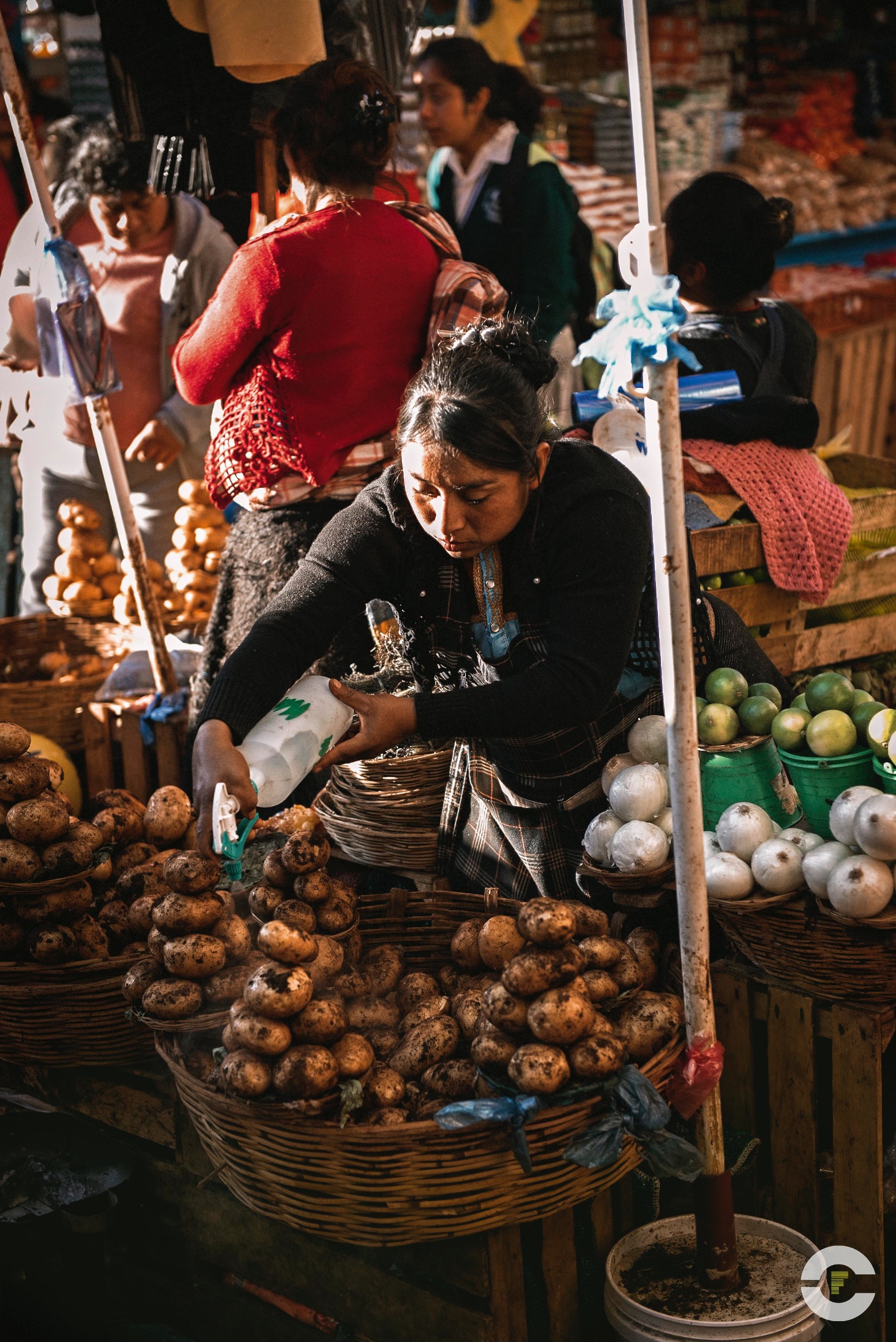 Mexico / San Cristobal de las Casas / 2018