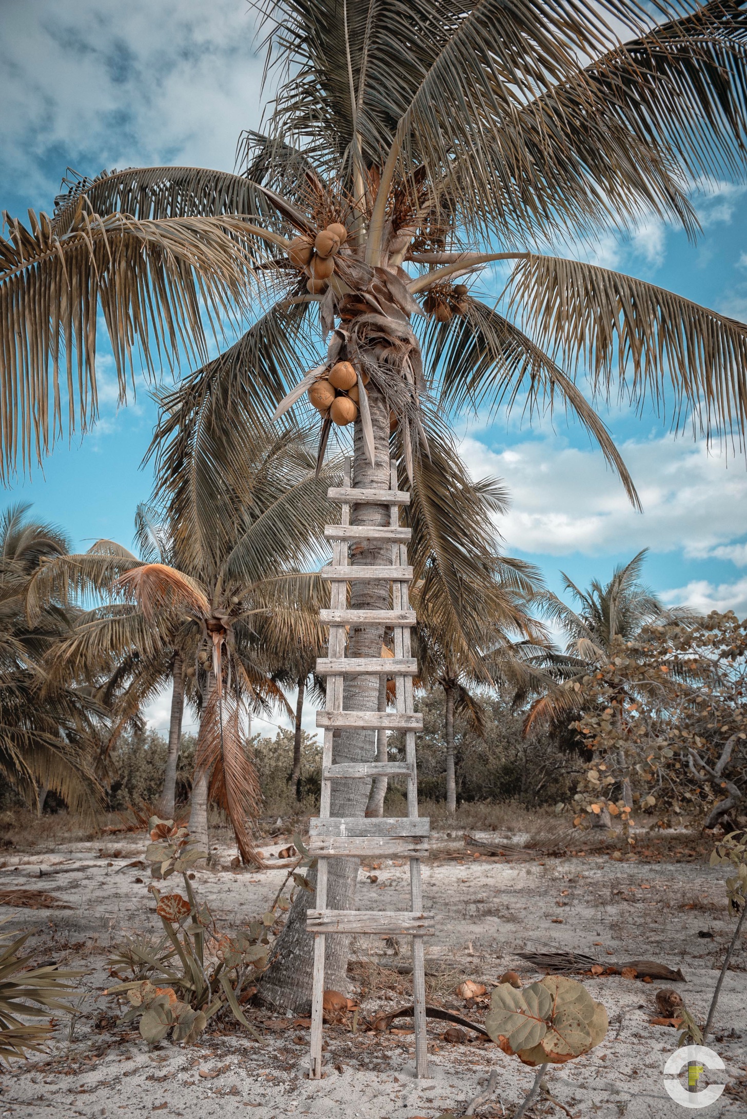 Mexico / Holbox / 2018