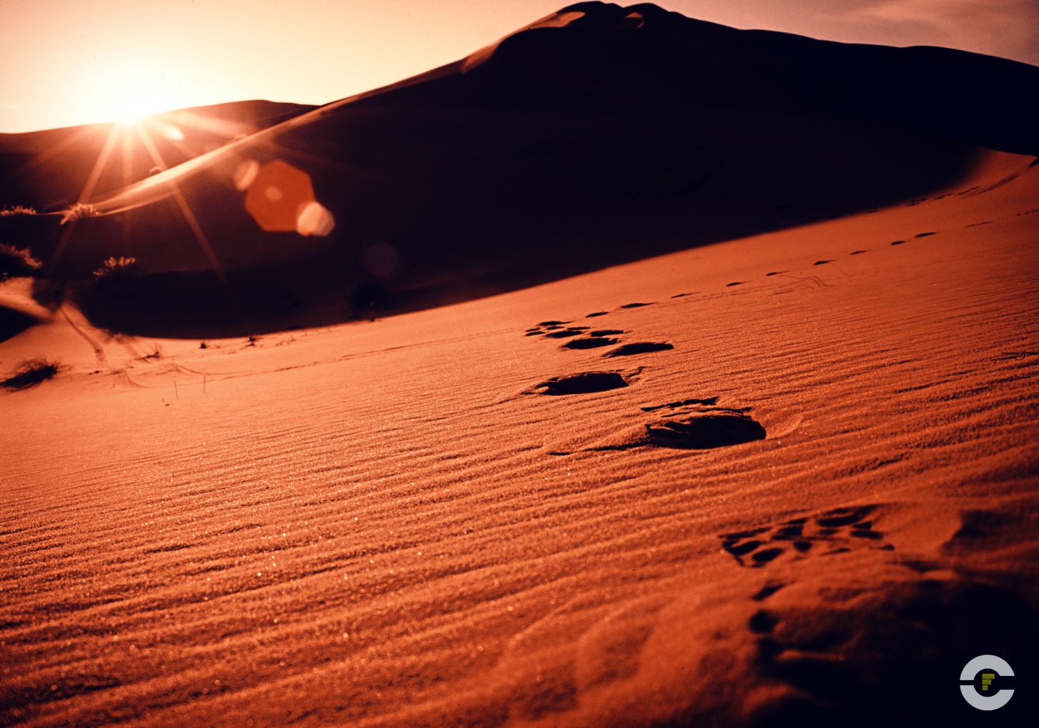 Marruecos / Sahara / 2002