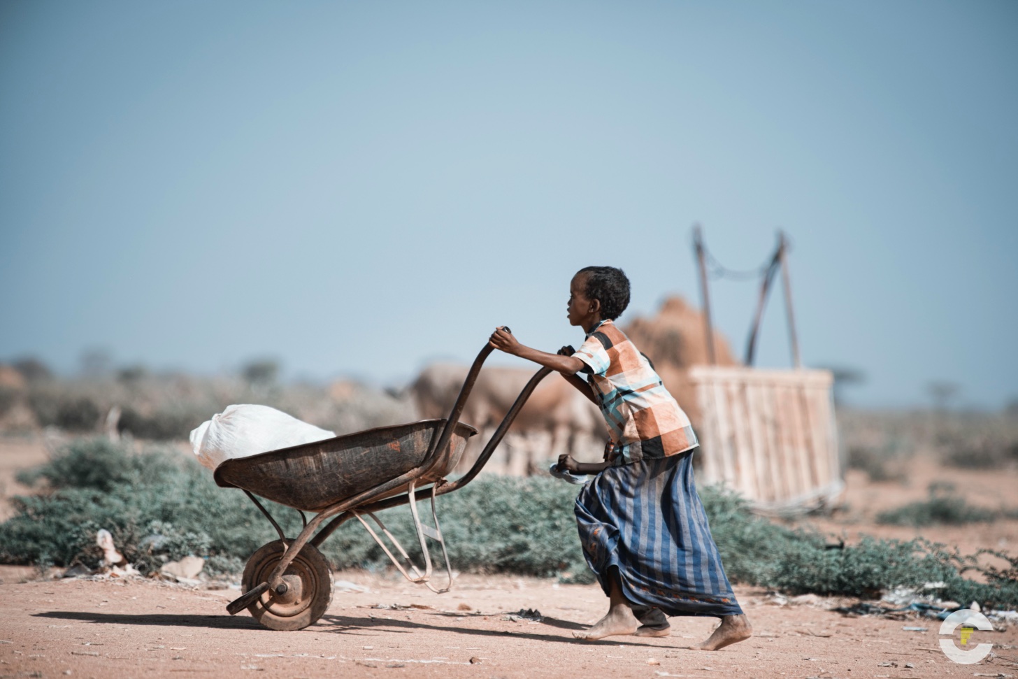 Kenya / Campo de Refugiados Dadaab / 2014